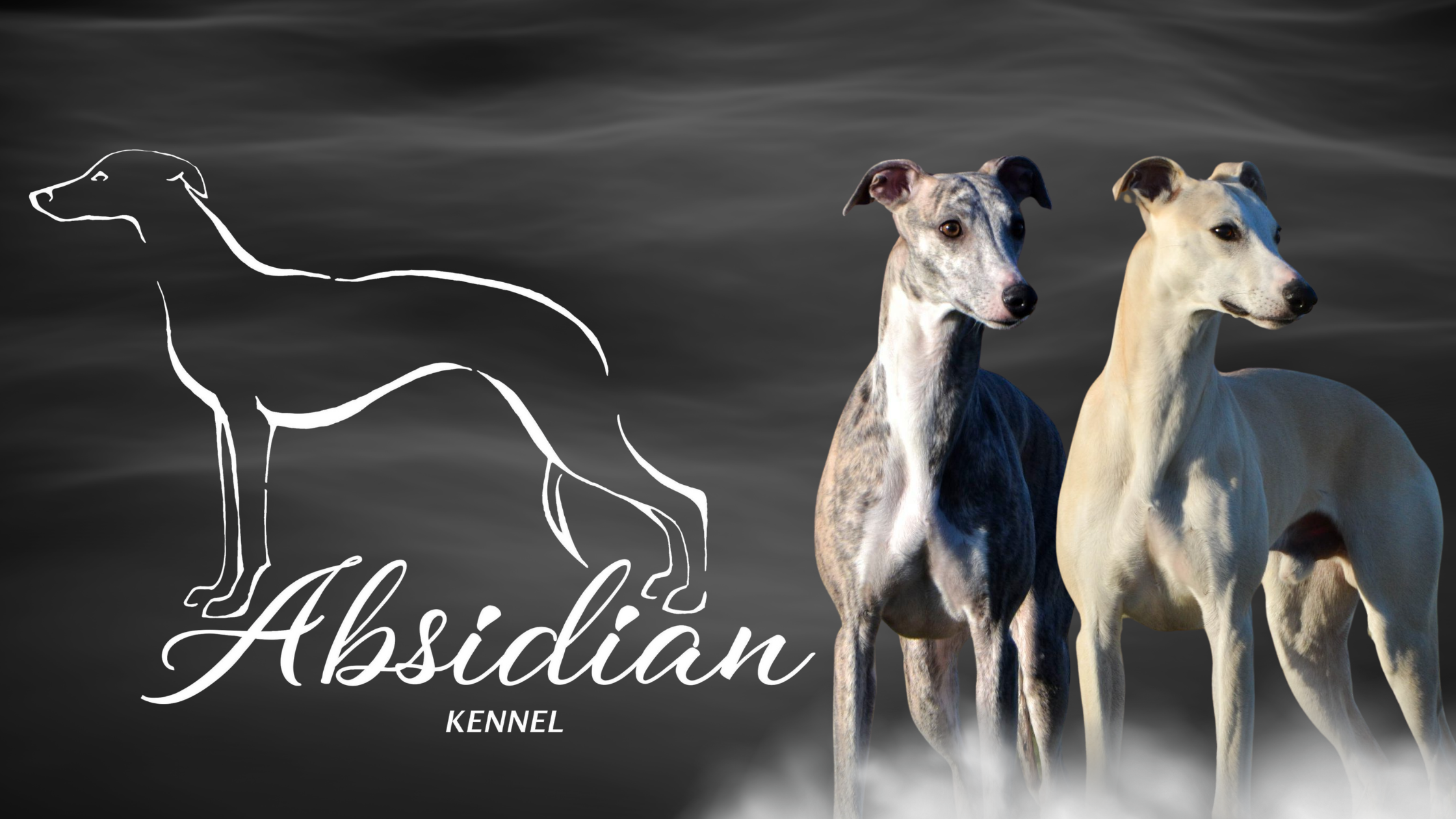 Kennel Absidian